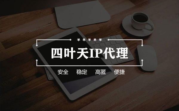 【鄂州代理IP】如何快速搭建代理IP？怎么检查代理的效果？